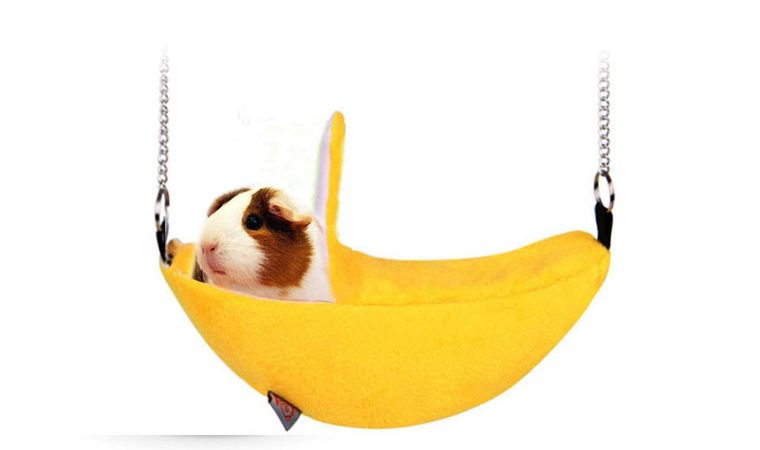 HAMSTER HAMMOCK