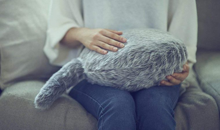 SMART PLUSH CAT CUSHION