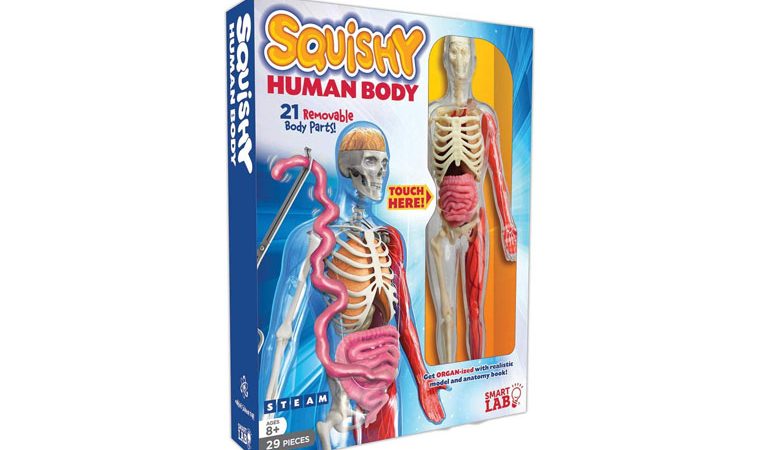 SQUISHY HUMAN BODY