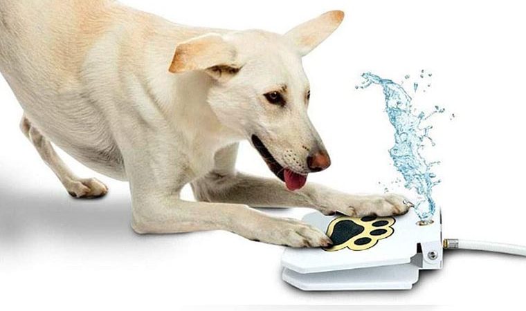 OUTDOOR DOG WATER HOSE