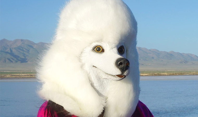 POODLE HEAD MASK