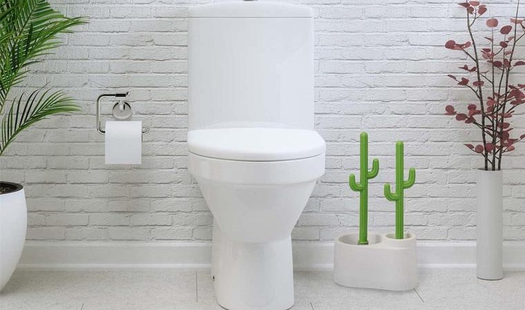 CACTUS TOILET PLUNGER