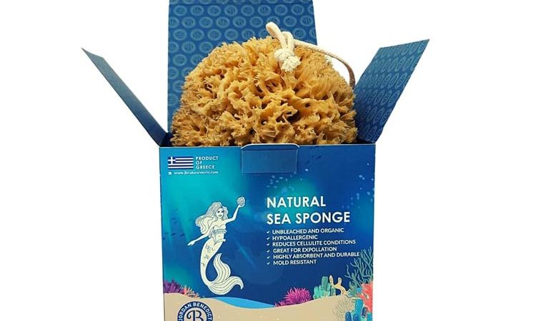NATURAL SEA SPONGE