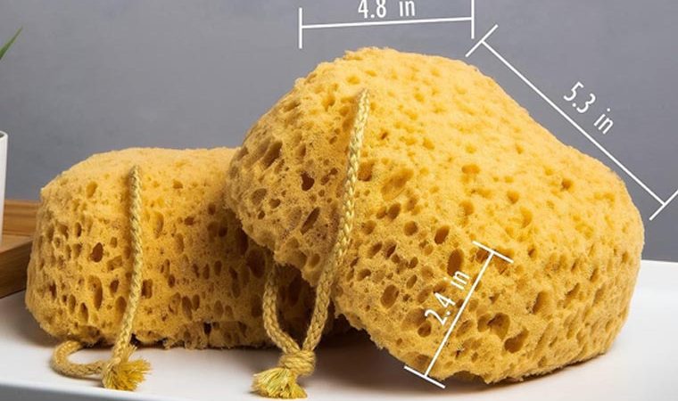 FOAM LOOFAH SPONGE